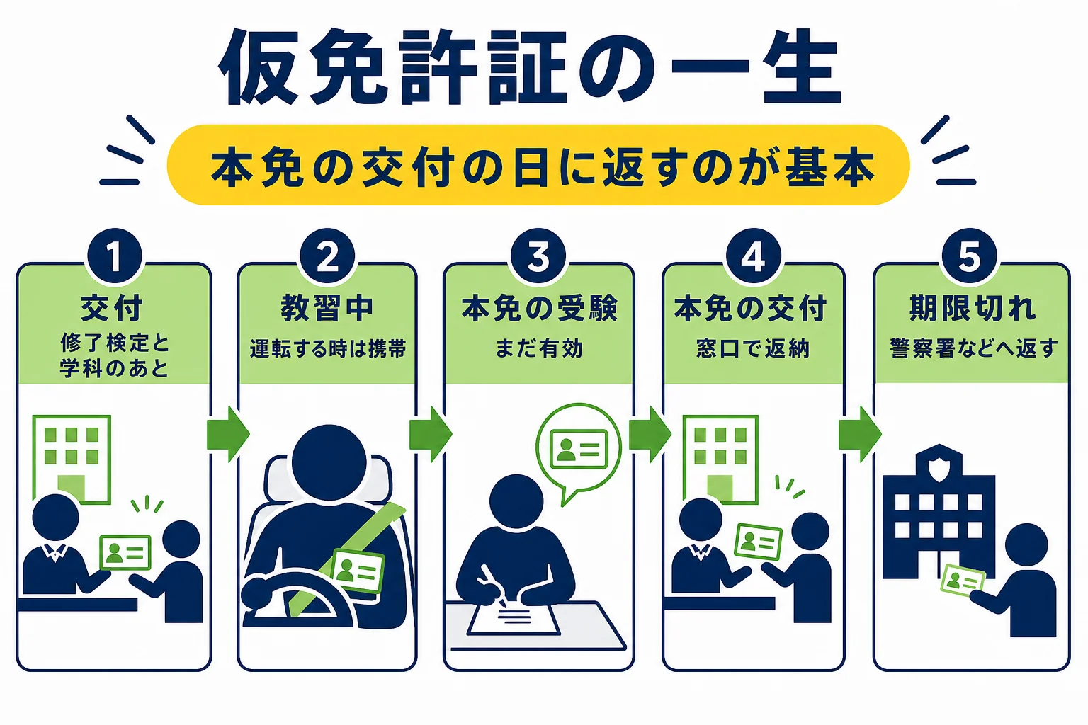 仮免許証を交付されてから、教習中の保管、本免合格後の返納までの流れを時系列で示した図解